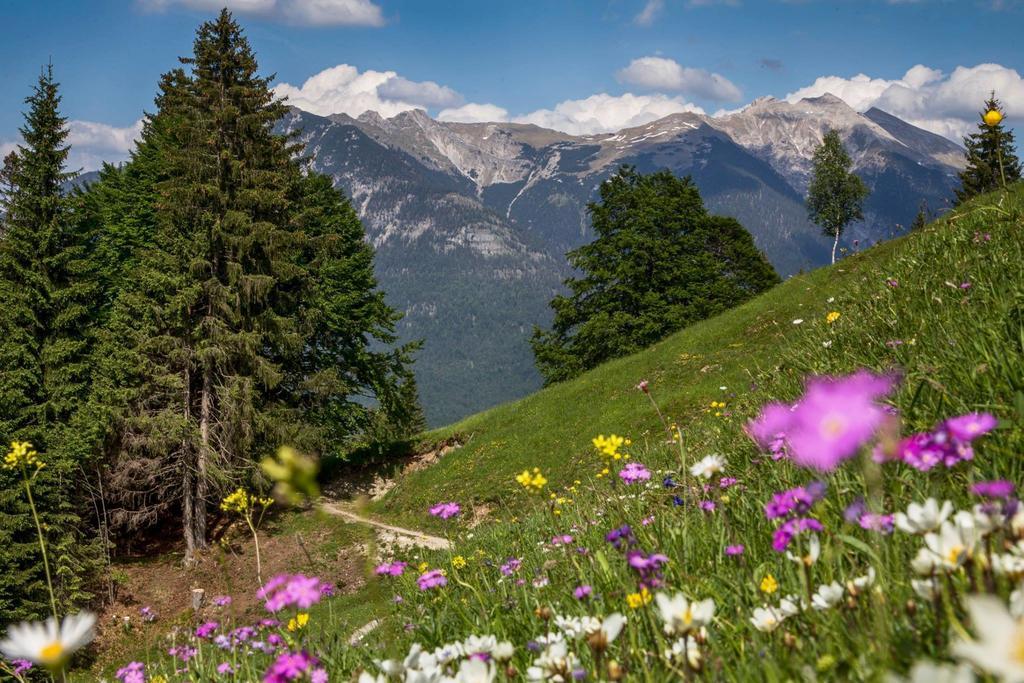 Fewo Lebensfreude Mittenwald Cameră foto