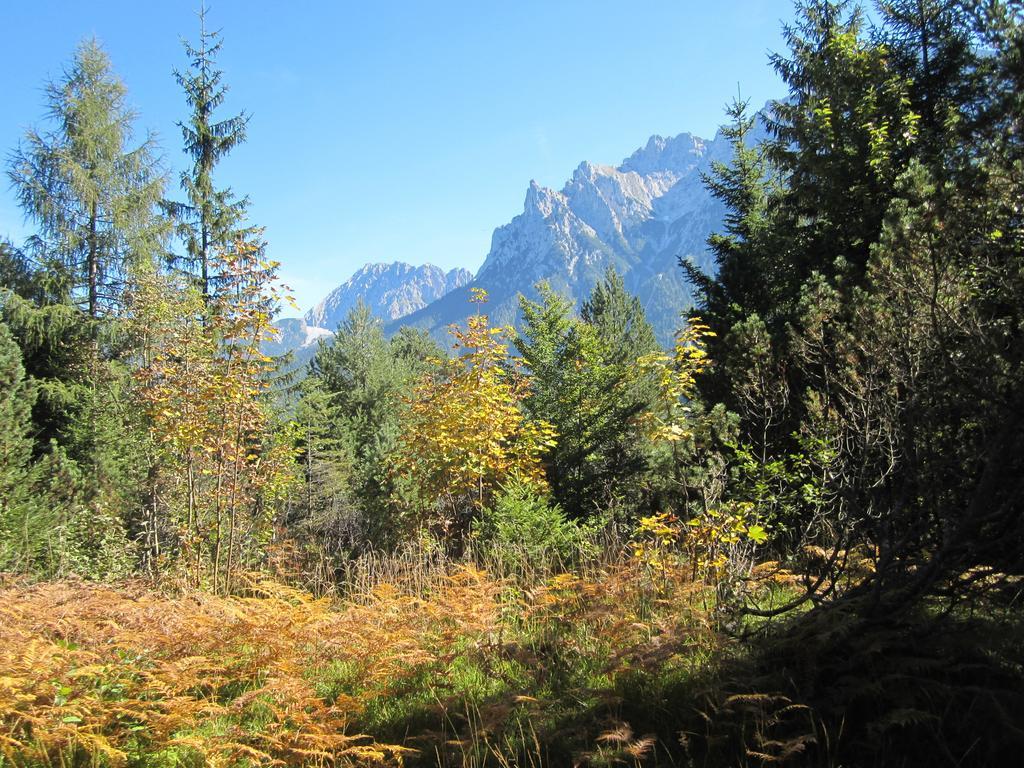 Fewo Lebensfreude Mittenwald Cameră foto